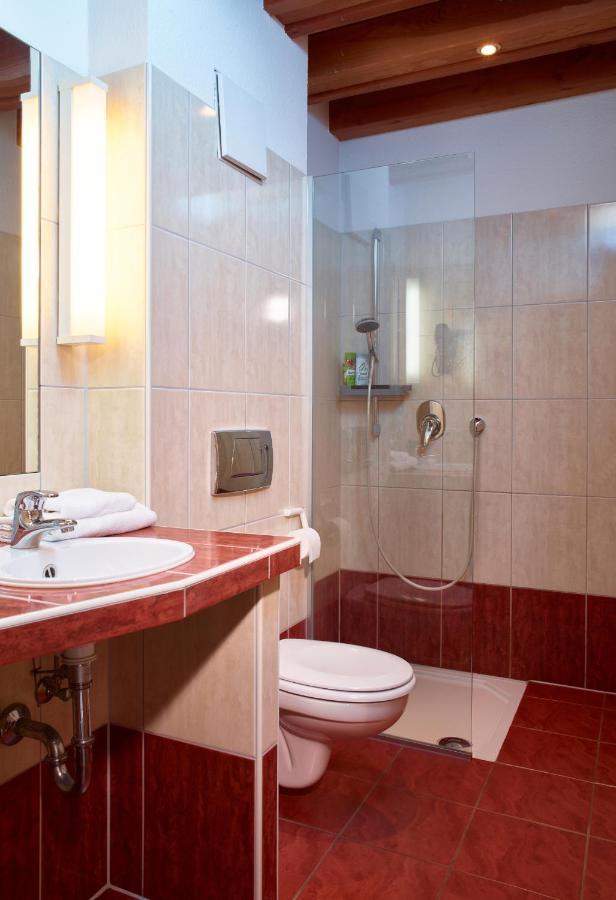 Luxusapartment Burgschaenke Kaiserslautern Dış mekan fotoğraf